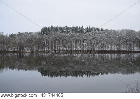 Reflections Of Winter Forest In The Caldera Lake Holzmaar
