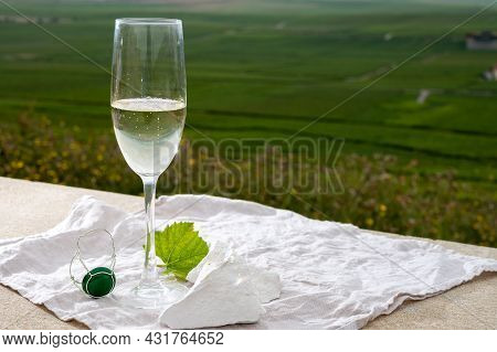 Glass Of White Brut Blanc De Blancs Champagne Wine And Examples Of Vineyard Soils, White Chalk Stone