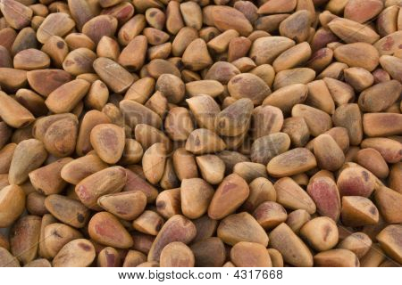 Pine Nuts