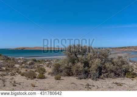 Argentinian Atlantic Coast North Of Comodoro Rivadavia