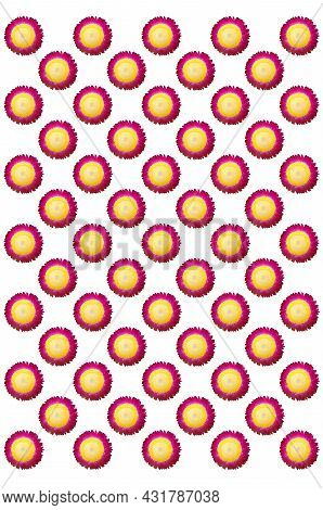 Repeated Pattern Design Of Pink Petals And Yellow Pistils Of Everlasting Flowers Isolated On White B