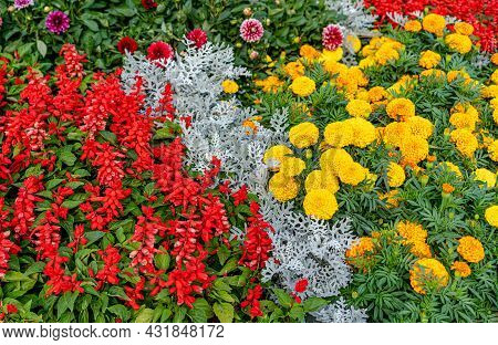 Flower Bed With Blooming Flowers.flower Bed With Blooming Flowers