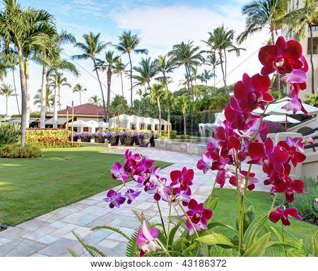 Resort tropical com rosa, orquídeas e palmeiras.