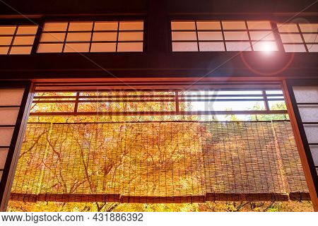 Frame Between Wooden Window And Beautiful Maple Tree In Japanese Garden At Enkoji Temple, Kyoto, Jap