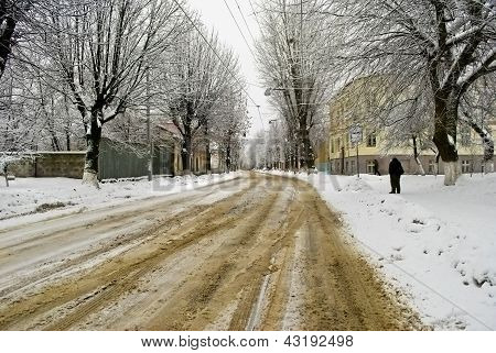 Vejen
