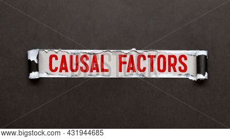 Text Sign Showing Root Cause Analysis. Conceptual Photo Method Of Problem Solving Identify Fault Or 