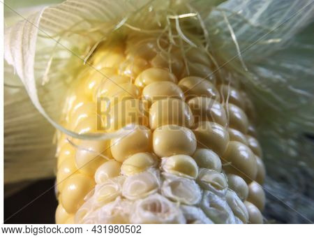 Raw Corn - Ripped Off - Sweetcorn, Sugar Corn, And Pole Corn