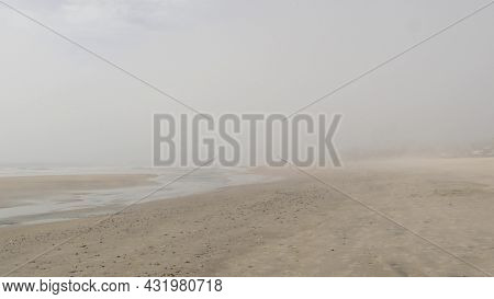 Sandy Misty Beach, Encinitas California Usa. Pacific Ocean Coast, Dense Fog Brume, Empty Sea Shore. 