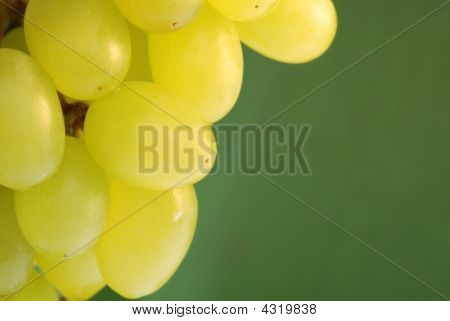 Grapes