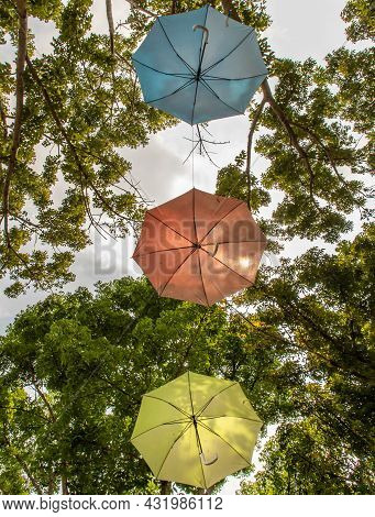 Three Brightly Colorful Umbrellas Hang In The Air Seen From Below Under A Blue Sky Inside A Forest. 