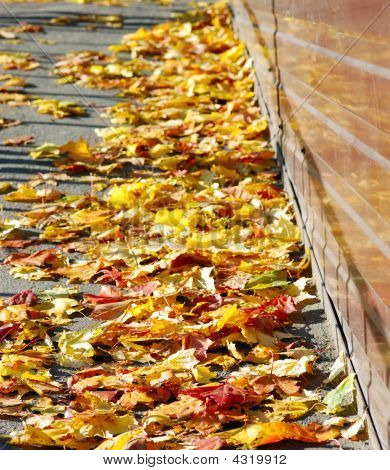 Autumn