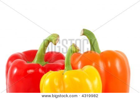 Sweet Peppers Heads