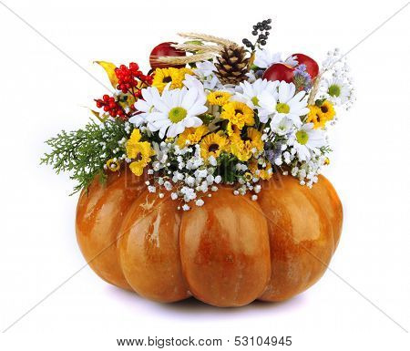 Beautiful autumn composition in pumpkin isolated on white
