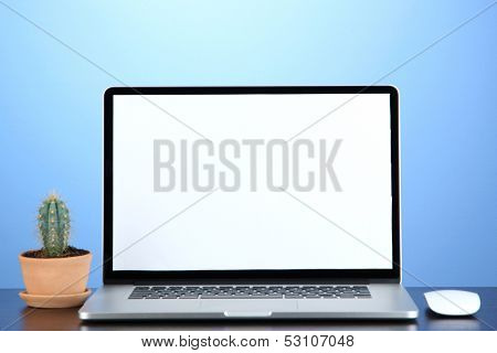 Laptop and cactus in flowerpot on wooden table on blue background
