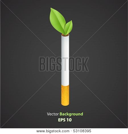Ecologic Cigarette Isolated Over Black Background