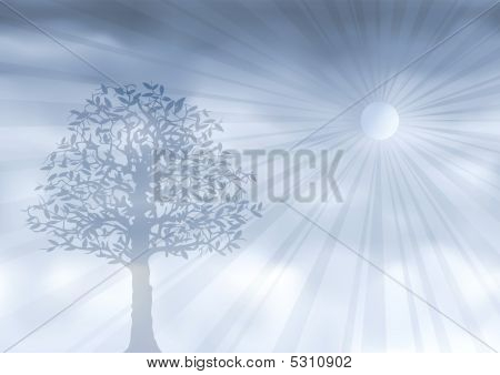 Призрачные серебро дерево