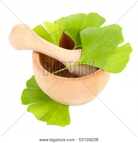 Ginkgo biloba leaves in mortar isolated on white