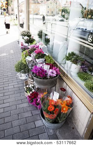 BlumengeschÃ¤ft