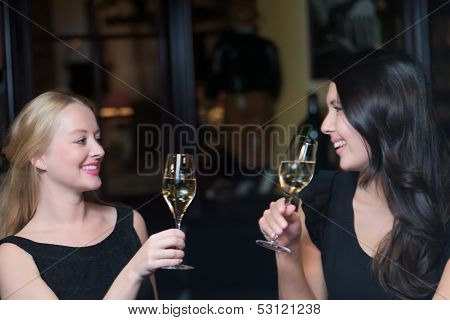 Two Beautiful Women Toasting Each Other