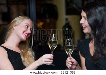 Two Beautiful Women Toasting Each Other