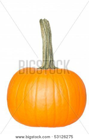 Fresh Orange Pumpkin Isolated On White Background