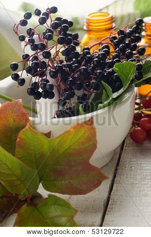 Elderberry In Mortar
