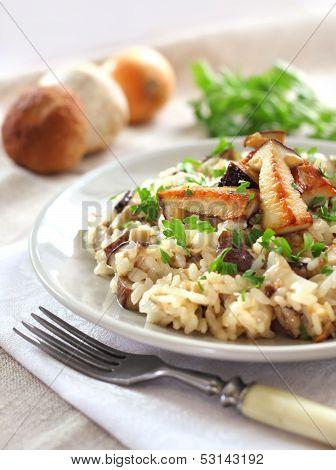 Risotto With Mushrooms