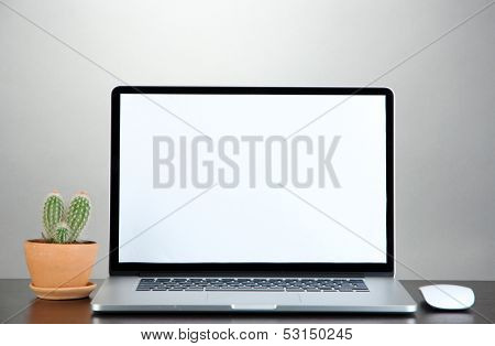 Laptop and cactus in flowerpot on wooden table on grey background