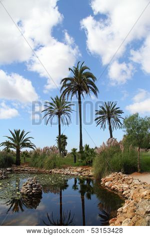 Bontanicactus,ses Selines, Mallorca, Spain