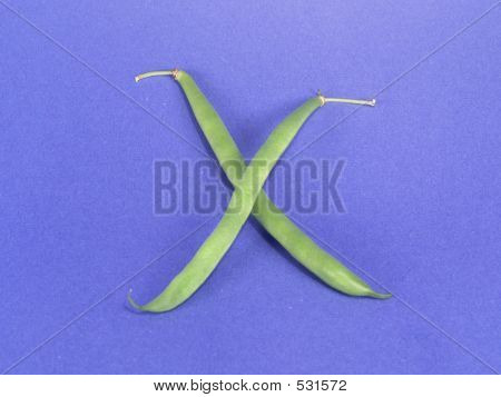 Vege номер 10 (роман)
