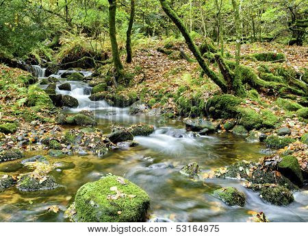Dartmoor Stream