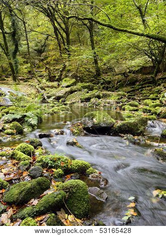 Dartmoor Stream