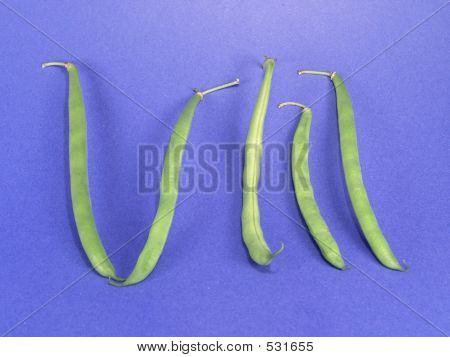 Vege номер 8 (роман)