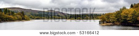 Autumn Colour At The Burrator Resovoir In Dartmoor National Park In Devon