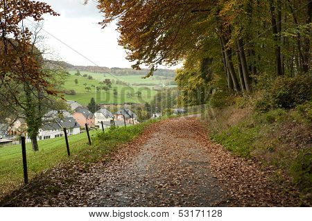 Automn