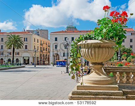 Flower Pot In Sassari