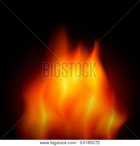 Vector illustration of fire