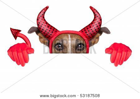 Devil Dog