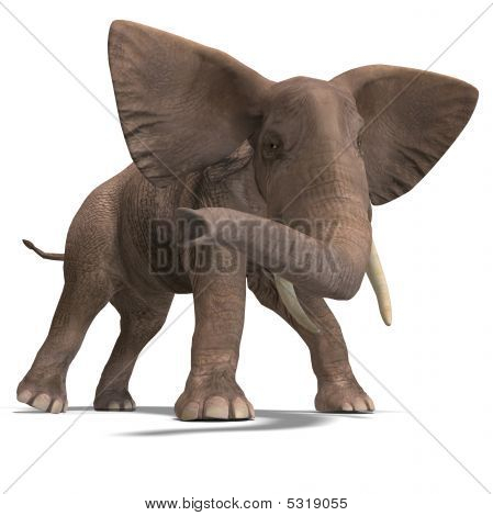 Enorme elefante