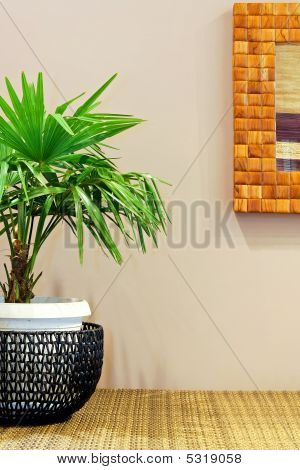 Plant
