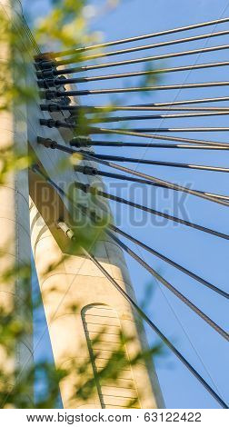 Details Of A Rope Bridge