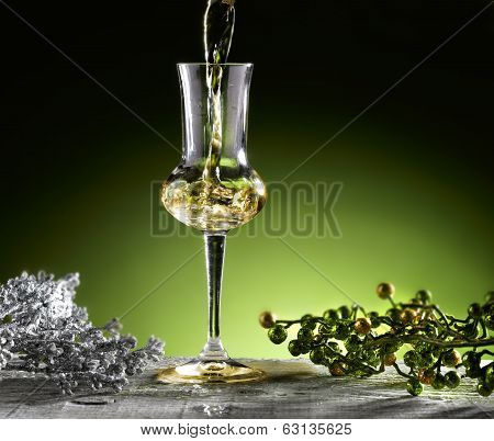 grappa