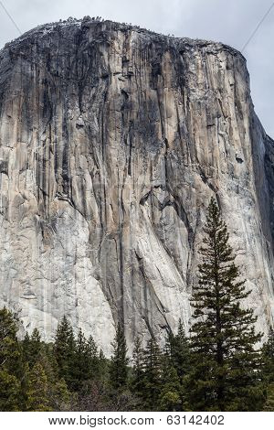 El Capitan - Yosemite Valley I
