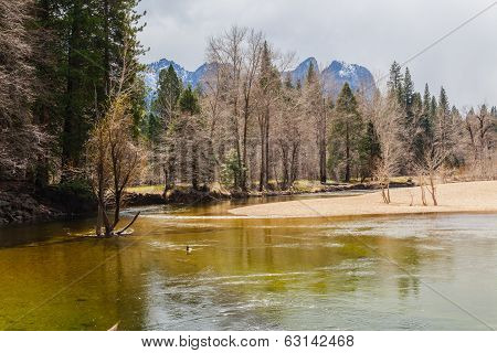 Mercedes River At Yosemite