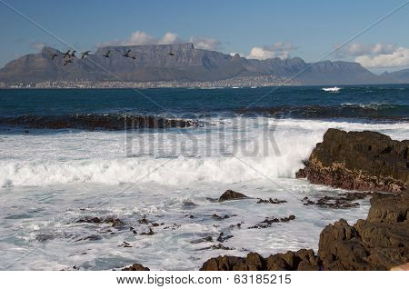 Cape town