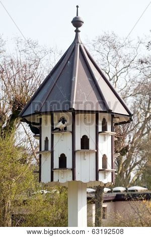 Multystoried Birdhouse