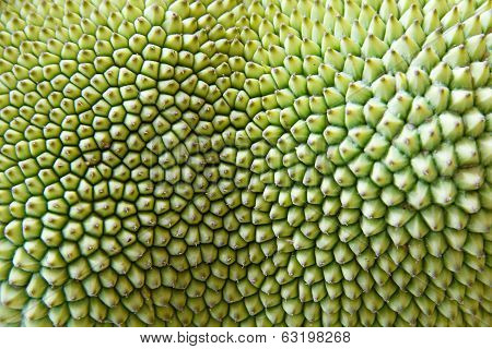 Texture of jackfruit