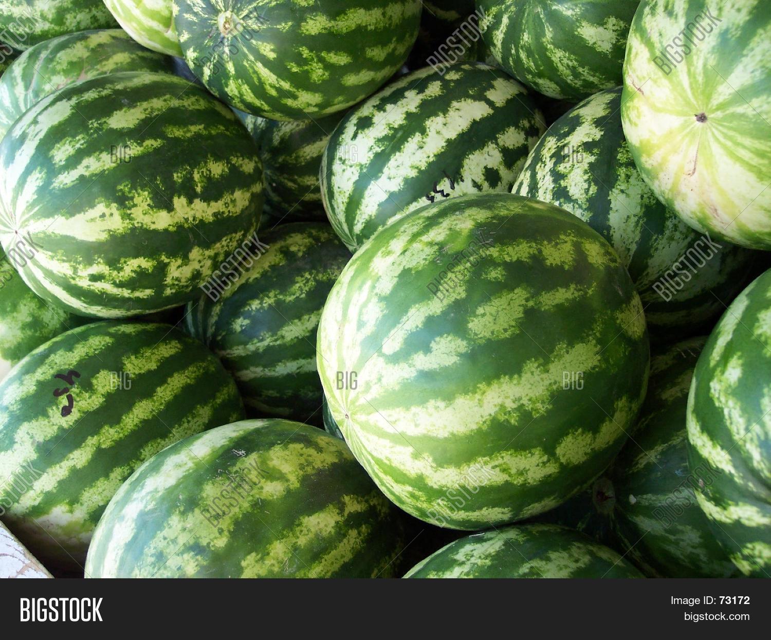 Watermelons Image & Photo (Free Trial) Bigstock