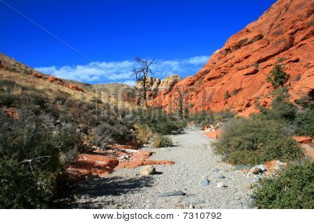 Red Rock Canyon National Conservation Area