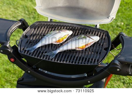 Fresh dorado fish grill cooking outdoors